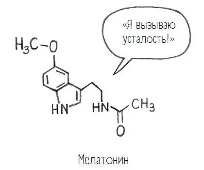 Ну и каково оно мое утро которое я рассматриваю в молекулах То в каком - фото 2