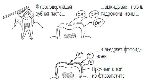 А как же действует зубная паста Йонаса которая без фторидов Если коротко не - фото 16
