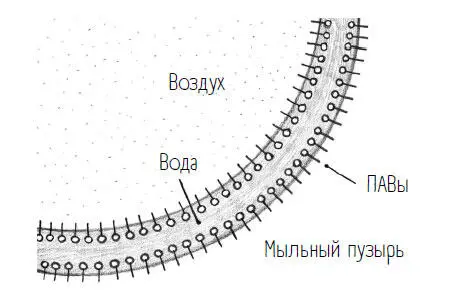 Поскольку ПАВы амфифильны то есть любят и то и другое они выступают - фото 19