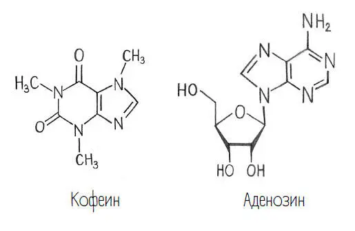 Каждая черточка на этих схемах соответствует ковалентной связи И кстати - фото 45