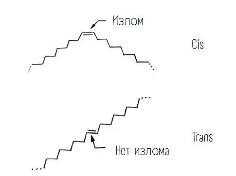 Но в нашей пище мы встречаемся почти исключительно с цисжирными кислотами с - фото 68