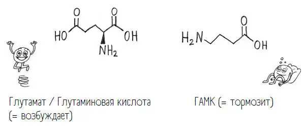 Мы уже не раз упоминали мозговые рецепторы помните сравнивали их с - фото 77