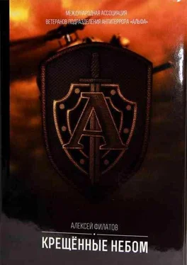 Алексей Филатов Крещённые небом обложка книги