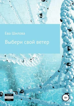 Ева Шилова Выбери свой ветер [СИ] обложка книги
