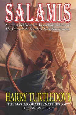 Harry Turtledove Salamis обложка книги