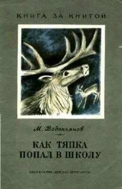 Михаил Водопьянов Как Тяпка попал в школу (рассказы) обложка книги