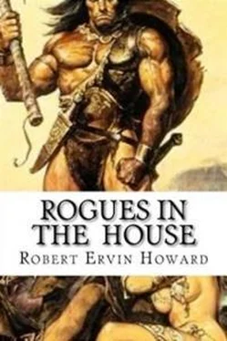 Роберт Говард Rogues in the House обложка книги