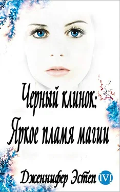 Дженнифер Эстеп Яркое пламя магии (ЛП) обложка книги