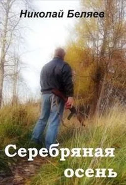 Николай Беляев Серебряная осень [СИ]