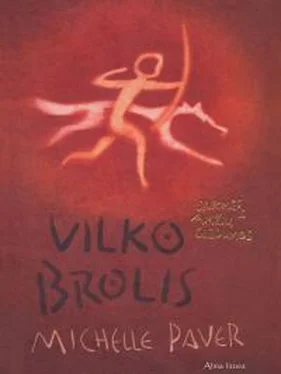 Мишель Пейвер Vilko brolis обложка книги