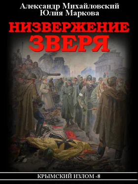 Александр Михайловский Низвержение Зверя обложка книги