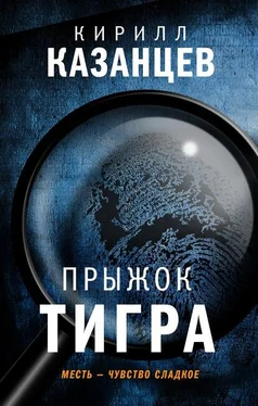 Кирилл Казанцев Прыжок тигра обложка книги