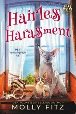 Молли Фитц Hairless Harassment обложка книги