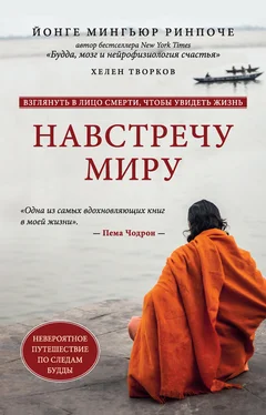 Хелен Творков Навстречу миру [litres] обложка книги