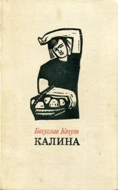 Богуслав Когут Калина обложка книги