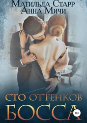 Анна Мичи - Сто оттенков босса