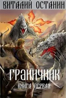 Виталий Останин Граничник [СИ] обложка книги