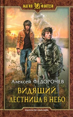 Алексей Федорочев Лестница в небо обложка книги