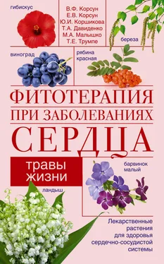 Елена Корсун Фитотерапия при заболеваниях сердца. Травы жизни обложка книги