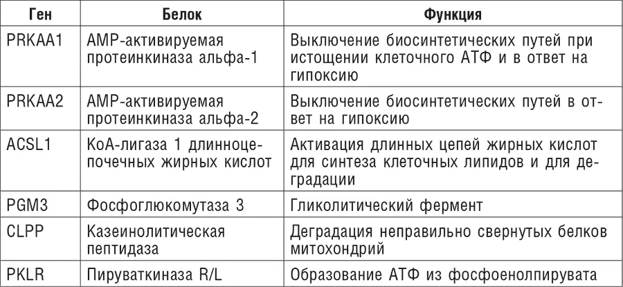 Понижение активности гликолитических ферментов на фоне дефицита магния является - фото 4