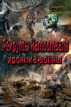 Андрей Демидов Рекруты Натоотваля - хроника войны обложка книги