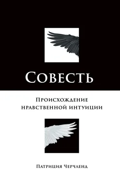 Патриция Черчленд Совесть. Происхождение нравственной интуиции обложка книги