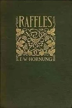 E. Hornung Raffles: The Black Mask обложка книги