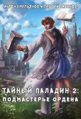 Антон Емельянов - Тайный паладин 2 - Подмастерье ордена