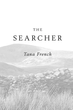 Tana French The Searcher: A Novel обложка книги