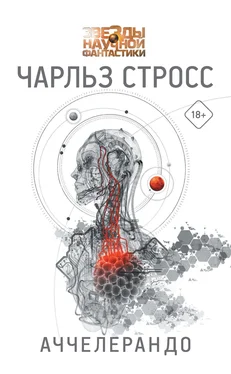 Чарлз Стросс Аччелерандо [litres] обложка книги