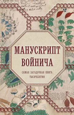 Александр Дей Манускрипт Войнича. Самая загадочная книга тысячелетия обложка книги