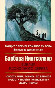 Барбара Кингсолвер Библия ядоносного дерева обложка книги