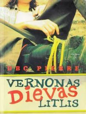 Ди Би Си Пьер Vernonas Dievas Litlis обложка книги