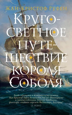 Жан-Кристоф Руфин Кругосветное путешествие короля Соболя [калибрятина] обложка книги