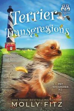 Молли Фитц Terrier Transgressions обложка книги