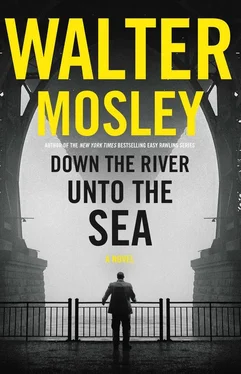 Уолтер Мосли Down the River unto the Sea обложка книги