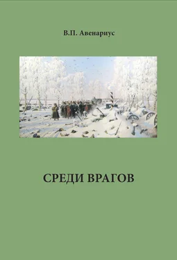 Василий Авенариус Среди врагов обложка книги