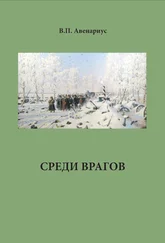 Василий Авенариус - Среди врагов