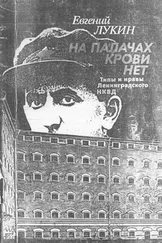 Евгений Лукин - На палачах крови нет