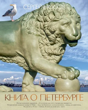 Сергей Носов Книга о Петербурге обложка книги