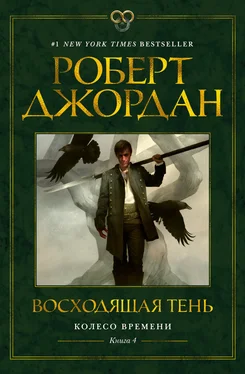 Роберт Джордан Восходящая Тень [litres] обложка книги