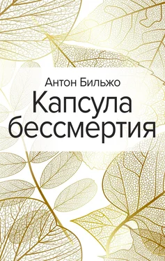 Антон Бильжо Капсула бессмертия [litres] обложка книги