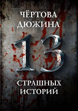 Александр Матюхин Чертова дюжина. 13 страшных историй обложка книги