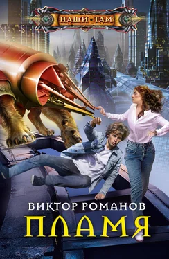 Виктор Романов Пламя обложка книги
