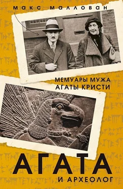 Макс Маллован Агата и археолог. Мемуары мужа Агаты Кристи обложка книги