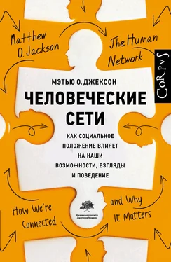 Мэтью Джексон Человеческие сети [Как социальное положение влияет на наши возможности, взгляды и поведение] обложка книги