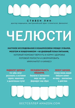 Стивен Лин Челюсти. Научное исследование о взаимосвязи между зубами, мозгом и кишечником + 40-дневный план питания, который поможет вернуть в норму здоровье ротовой полости и сформировать иммунитет к кариесу обложка книги