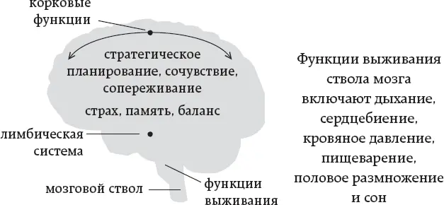 Ум точно не помощник чтобы разобраться что есть что Что есть что это - фото 2