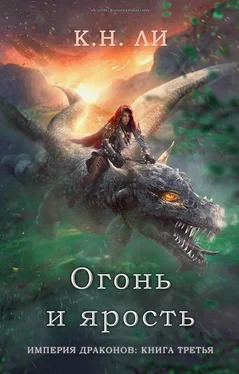 К Ли Огонь и ярость обложка книги