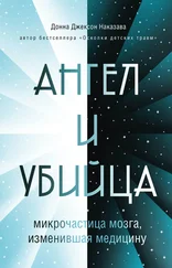 Донна Наказава - Ангел и убийца. Микрочастица мозга, изменившая медицину